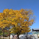 관아6길 10, (성내동) | 국보 삼척 죽서루 - 관동팔경 제일루 [삼척 여행 가볼만한곳]