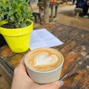 CAFE THE DOG 이미지