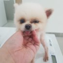 화산네거리 이미지