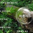 함께하는클리닝원룸청소