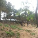 중인농장 이미지