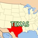 신흥 인 허브 이미지