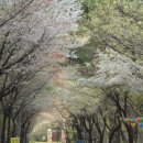 금정산성마을 이미지