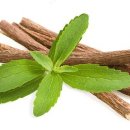 킹 휘트니스 이미지