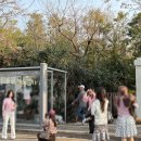 대륜세탁소 네이버블로그