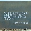 정도경「억새풀」 이미지