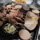 THE돼지 이미지