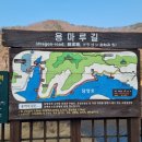 용마루길(데크끝) 이미지