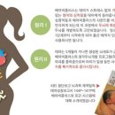 커뮤니케이션플러스 이미지