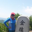 지그린 이미지