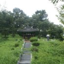 오대남 충신각 이미지