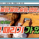 (멍때리기)내 팔자에 맞는 멍때리기 종류찾기,우리는 왜 멍때리기를 하는가? 이미지