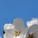 고남2리 이미지