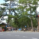 일본 나라(奈良) 사슴공원 / 동대사 이미지
