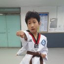 용인대용전태권도 이미지