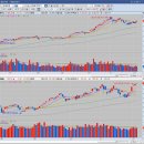 코칩빌딩 이미지