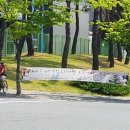 토요 컬쳐데이 이미지