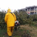 에벤에셀농장(2) 이미지