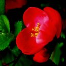 애인당구장 이미지