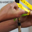 정아과일 Daum카페