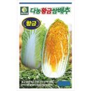 다농 황금쌈배추 씨앗 -황금배추