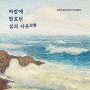 풍요의 바람 이미지