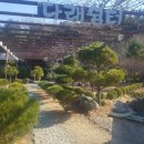 산울펜션 이미지