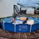 진순2호 이미지