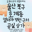 울산상가임대&gt; 울산 북구 호계동 엘리야 병원 근처 기본 인테리어 완비된 무권리 소매점 상가 임대 매물...