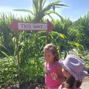 패밀리농장 이미지