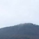 덕  산 이미지