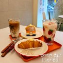 배배꼬 이미지