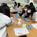 야탑고등학교내 이미지