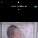 [조리원 후기] 세종 드이자르 조리원 / 내돈내산 / 20박21일 3주 후기 / 제왕절개 초산맘