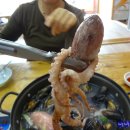 계룡해물칼국수 이미지