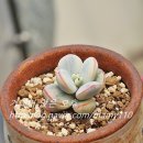 무신테크 이미지