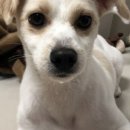 문화서로 77번길 이미지