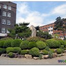 대구교육대학교 이미지