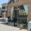 디케이랩(DK LAB) | [성북구] 성북동 누들거리 속 지적 감성 공간 - 디케이위즈덤랩 북카페 탐방기