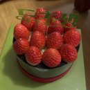 (주)다운진어학원 | 3월 첫째 주 학원 강사 일상- 새학기, 새로운 시작