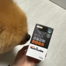 런앤점프 | [내돈내산] 뉴트리큐브 런앤점프 잘먹는 강아지 관절 영양제 슬개골 연골 조인트 탈구 예방 100g