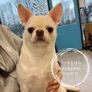 미소돌봄동물병원 이미지