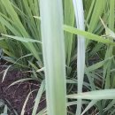 이가네농장 이미지