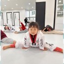 푸른 경희대 태권도장 이미지