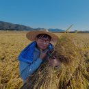 일원메디 이미지