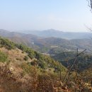 태수산