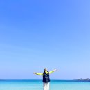 해나라전기 - 강서구 강서로52길 50 | 우도 코코나라 전기차 스쿠터 5번째 빌린후기 꿀팁까지