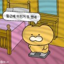 닭동가리 이미지