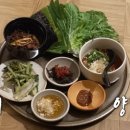 요정참치