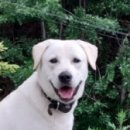 횡성동물병원 이미지